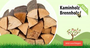 Kaminholz & Brennholz bei holzhandel24.com in Oschersleben und Königslutter