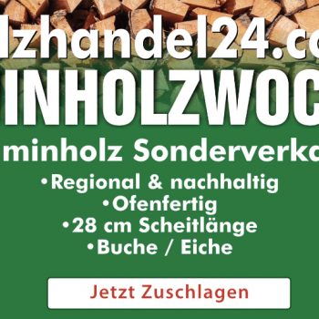 Kaminholz 28 cm – Eiche & Buche, ofenfertig, Sonderangebot