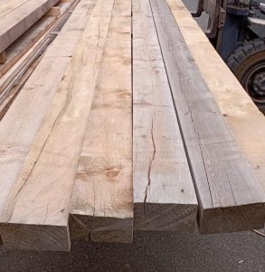 Nahaufnahme Sparren Kiefer Fichte Tanne, B-Ware