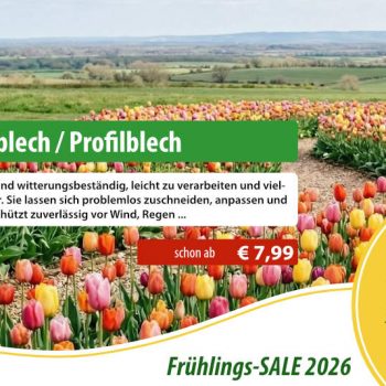 Frühlings-SALE 2026 bei holzhandel24.com