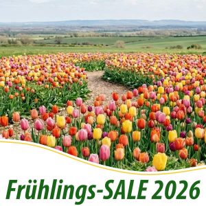 Frühlings-SALE 2026 bei holzhandel24.com
