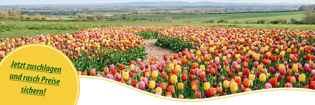 Frühlings-SALE 2026 bei holzhandel24.com